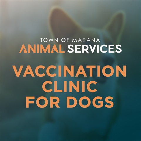 Vaccine Clinic Social 