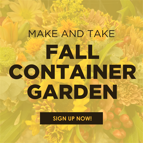 FALL-CONTAINER.png