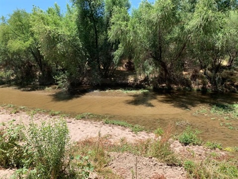 Santa Cruz River-Marana