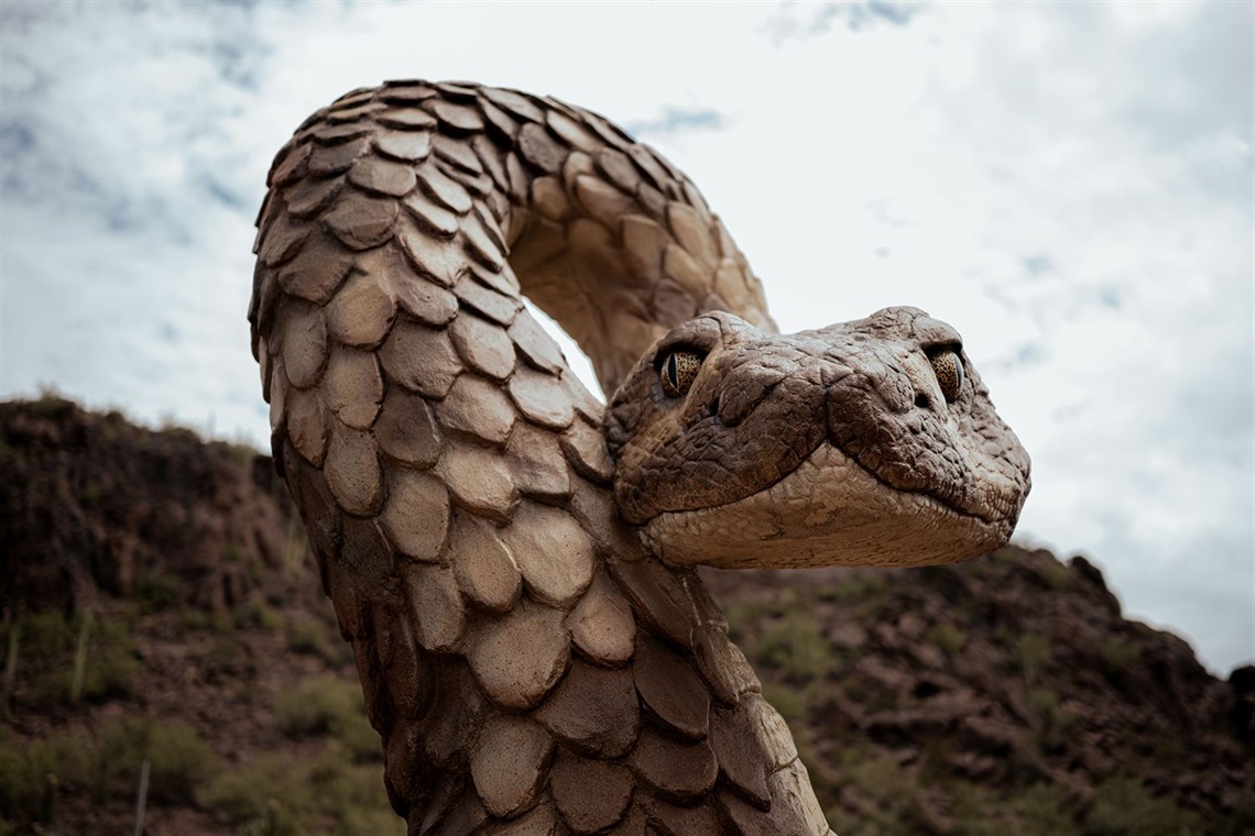 Snake Sculpture face