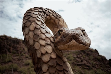 Snake Sculpture face