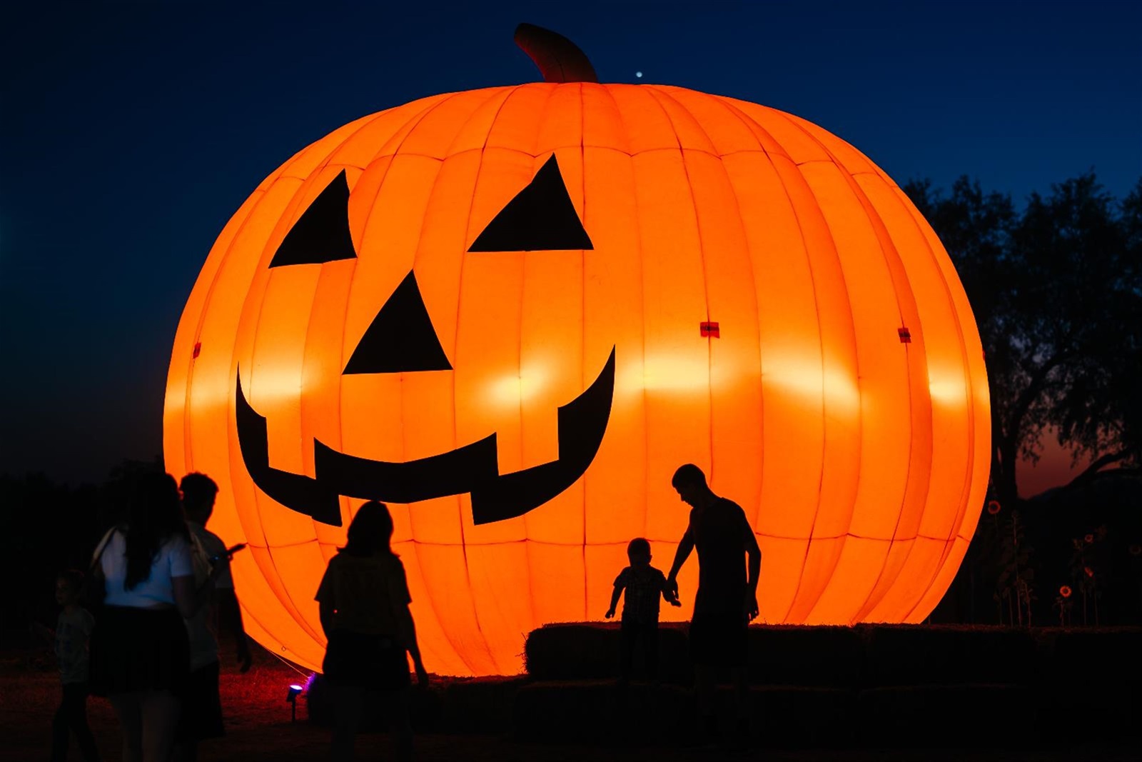 FallFestivalQuick-18.jpg