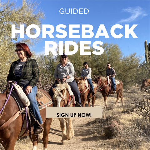 Guided-Horseback-Rides-Social-Square.png