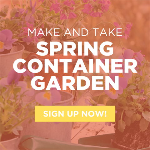 Make-and-Take-Spring-Container-Garden-Social-Square.png