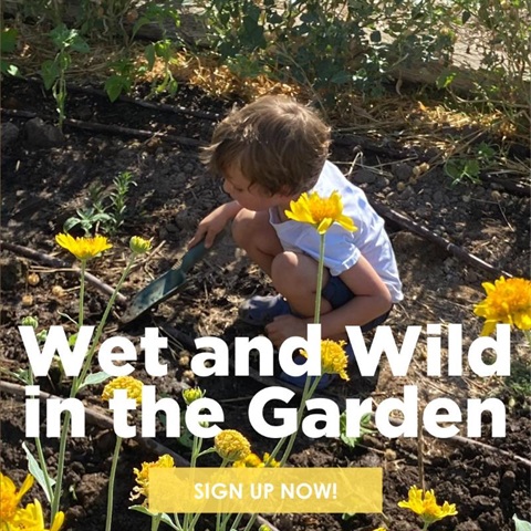 wet-and-wild-in-the-garden-social-square.jpg
