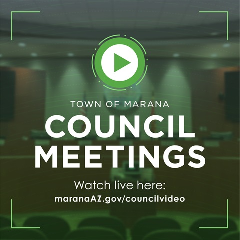Council Meeting social square green