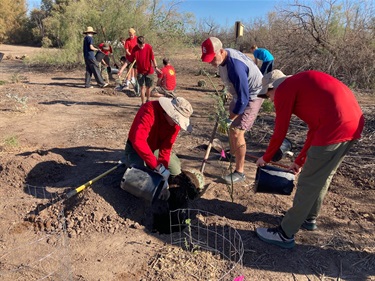 Scouts planting native species