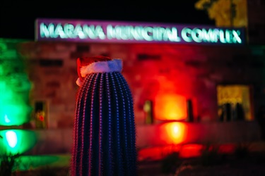 Cactus with santa hat in front of Ed Honea Marana Municipal Complex