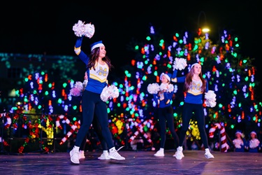 Marana High School Danceline 