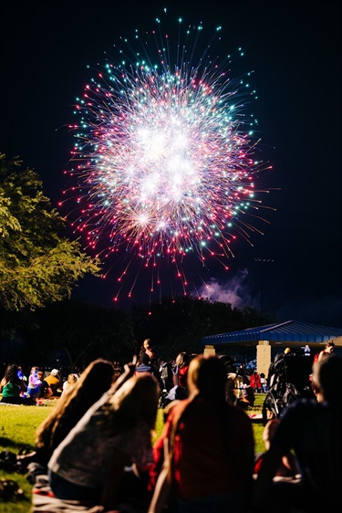 Attendees sitting down watching the fireworks